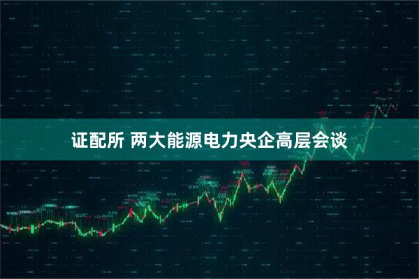 证配所 两大能源电力央企高层会谈