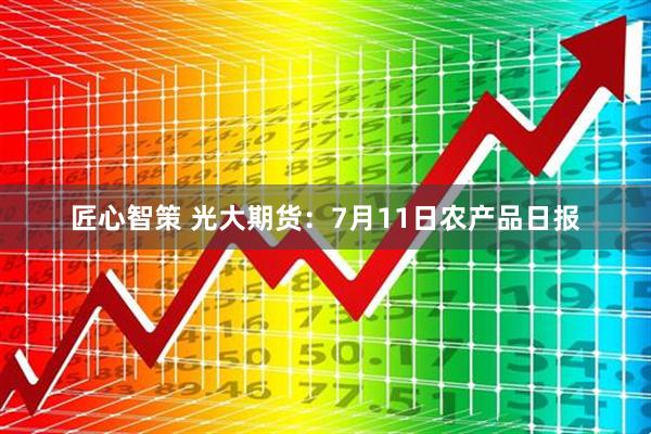 匠心智策 光大期货：7月11日农产品日报