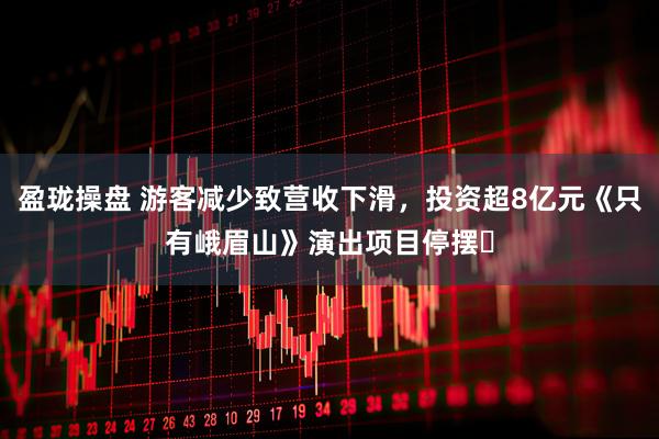 盈珑操盘 游客减少致营收下滑，投资超8亿元《只有峨眉山》演出项目停摆​