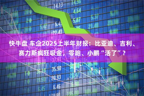快牛盘 车企2025上半年财报：比亚迪、吉利、赛力斯疯狂吸金，零跑、小鹏“活了”？