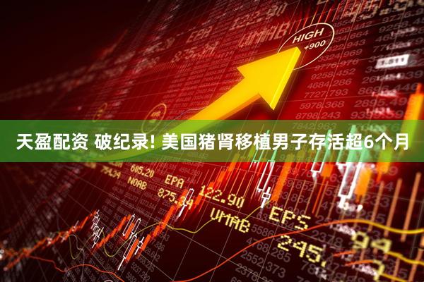 天盈配资 破纪录! 美国猪肾移植男子存活超6个月