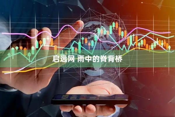 启远网 雨中的脊背桥