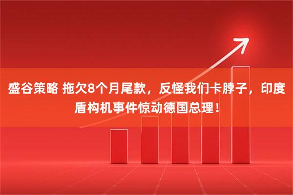盛谷策略 拖欠8个月尾款，反怪我们卡脖子，印度盾构机事件惊动德国总理！