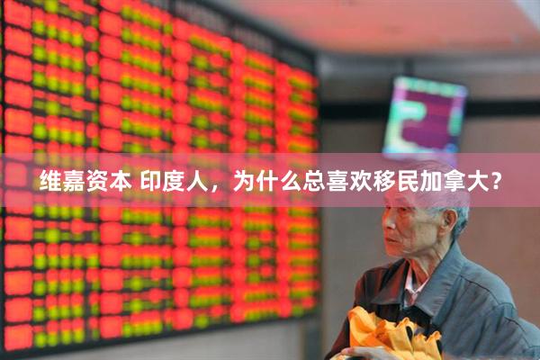 维嘉资本 印度人，为什么总喜欢移民加拿大？