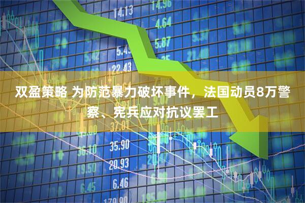 双盈策略 为防范暴力破坏事件，法国动员8万警察、宪兵应对抗议罢工