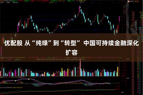 优配股 从“纯绿”到“转型” 中国可持续金融深化扩容