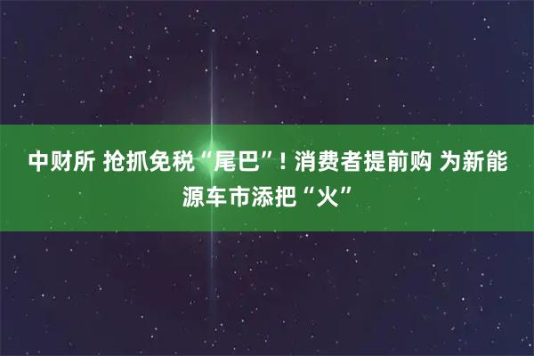 中财所 抢抓免税“尾巴”! 消费者提前购 为新能源车市添把“火”