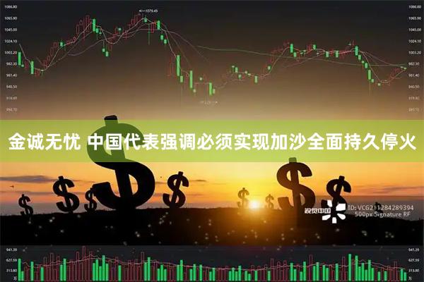 金诚无忧 中国代表强调必须实现加沙全面持久停火